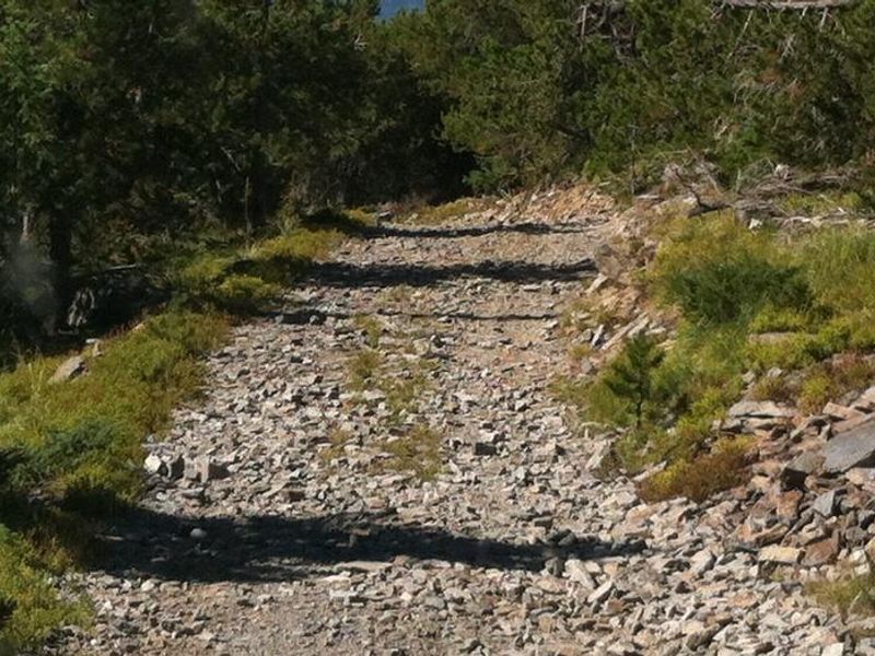 Access road to lookout