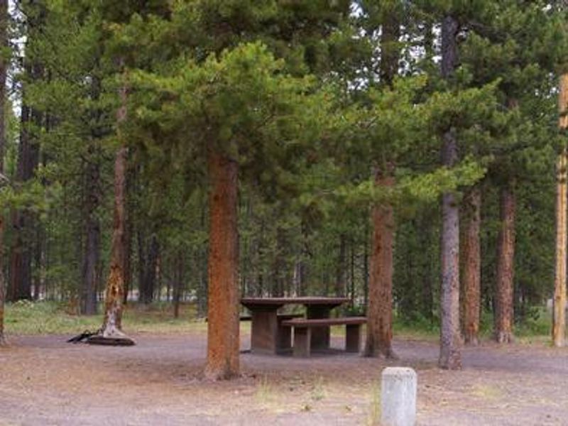 Campsite
