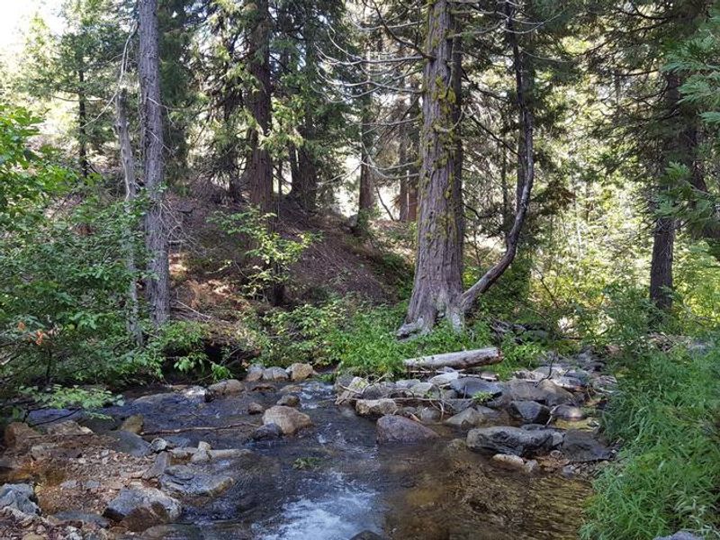 Berger Creek at Berger Campground