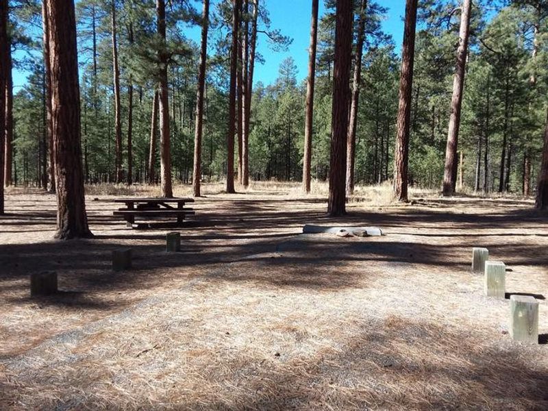 Jemez Falls Campground 
