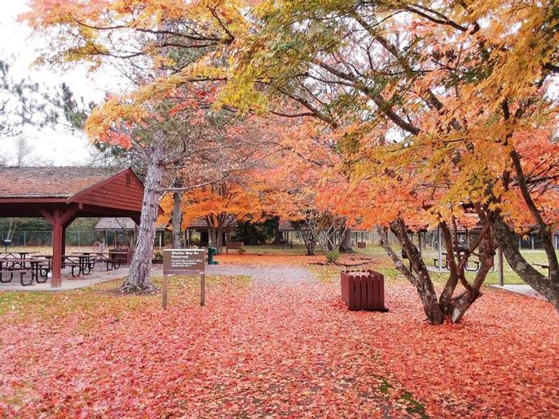 This picture captures the beauty of fall at Mud Mountain Dam Park.