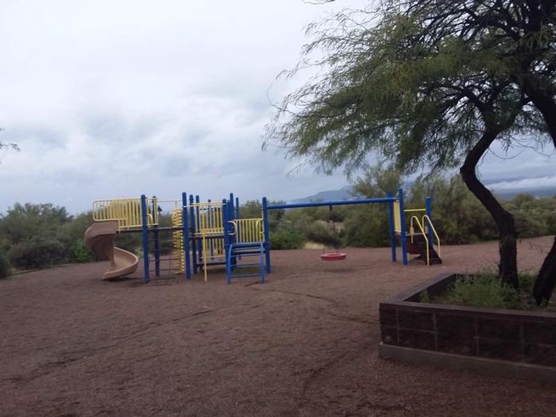 Grapevine playground 