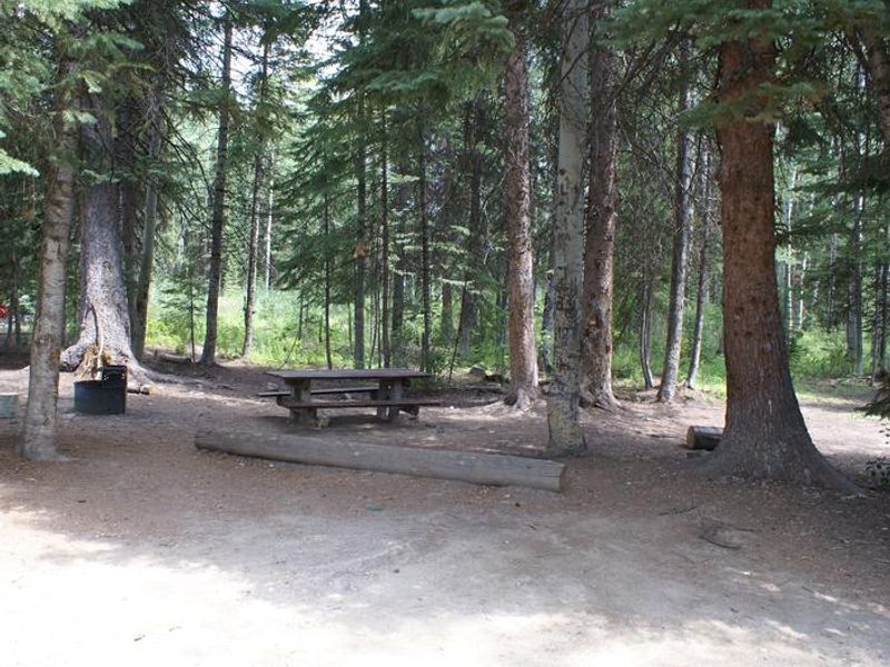 Dry lake campground site 3 table fire pit and trees