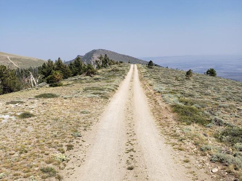 East Landscape View from Lookout
