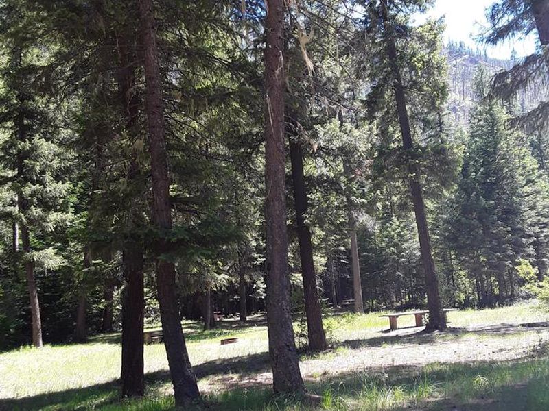 Trout Creek Campground