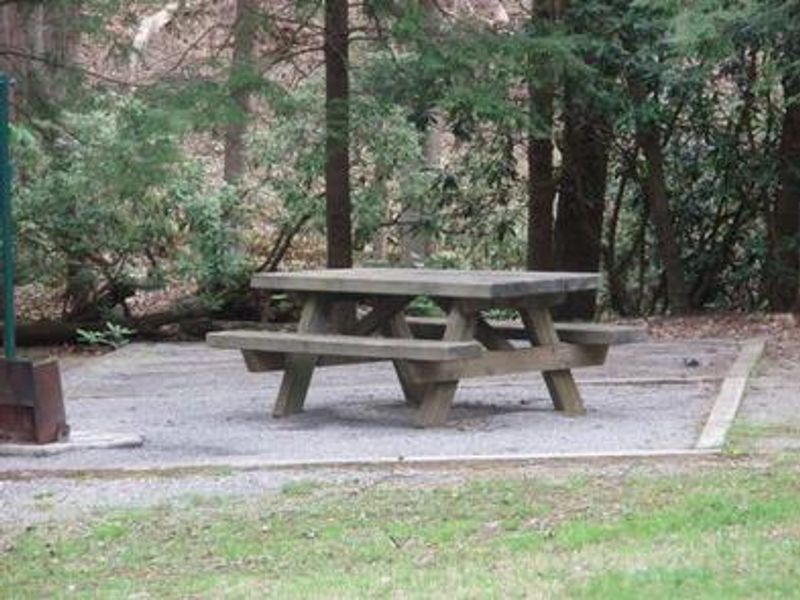 Picnic area in Hurricane Campground 