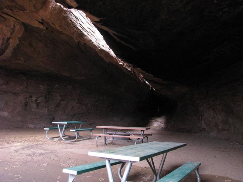 Inside the overhang at split top with picnic tables and a fire ring.