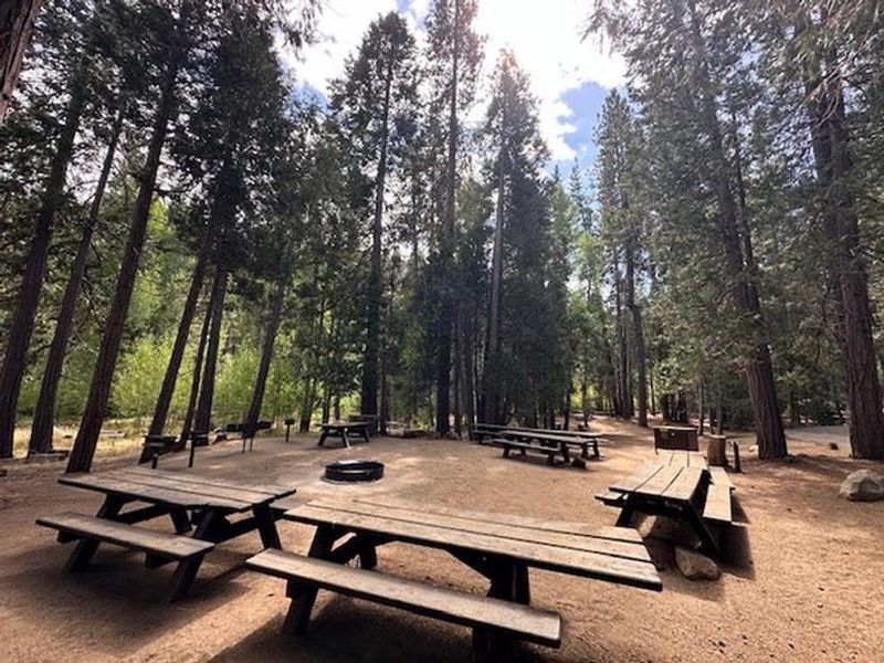Picnic table area