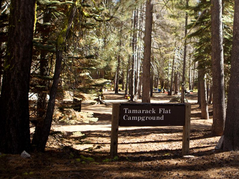 The entrance to Tamarack Flat Campground