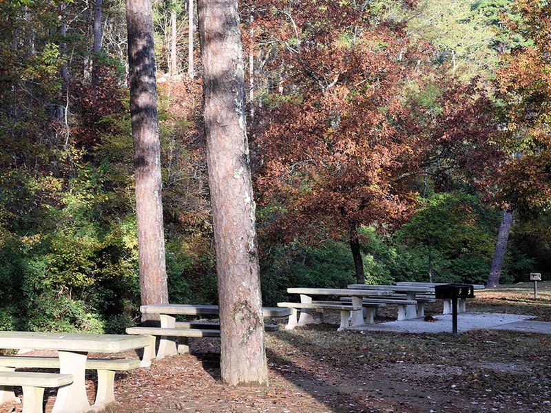 A portion of the picnic area at the Day Use Area