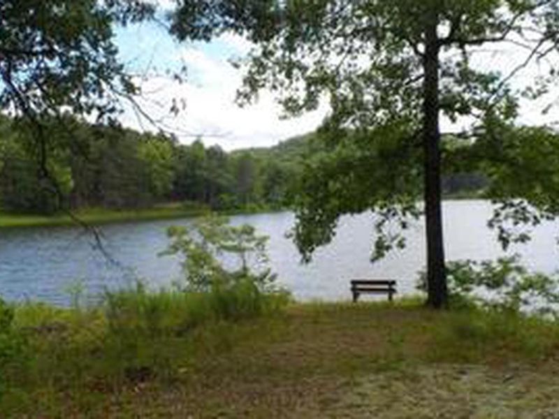 View of Loggers Lake