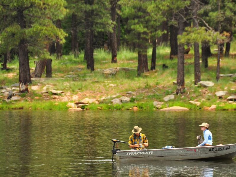 Woods Canyon Lake is one of the most popular fishing lakes in Arizona. Built by Arizona Game and Fish in 1958, this lake is stocked weekly during the summer with catchable sized trout.  