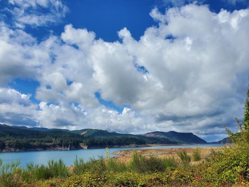 View of Lookout Point Lake from Ivan Oakes Campground
