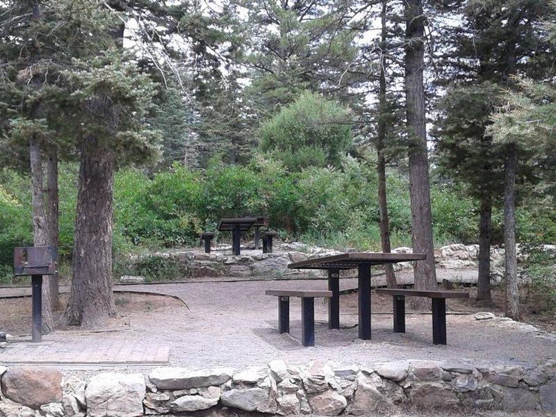 Balsam Glade dispersed picnic tables (Non-Reservable) 