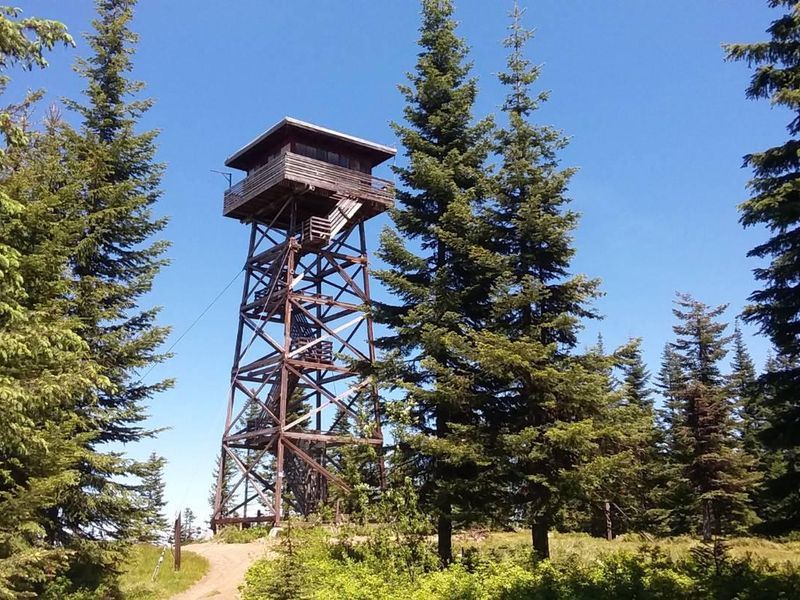 View of Lookout Butte lookout from below. 