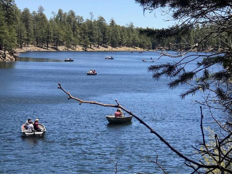Boats on Woods Canyon Lake