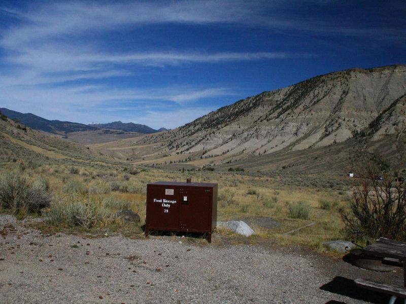 Mammoth Campsite #39