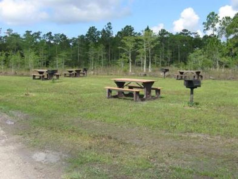 Day Use area at Burns Lake Campground