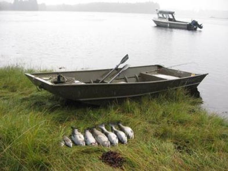 Salt Chuck East Cabin