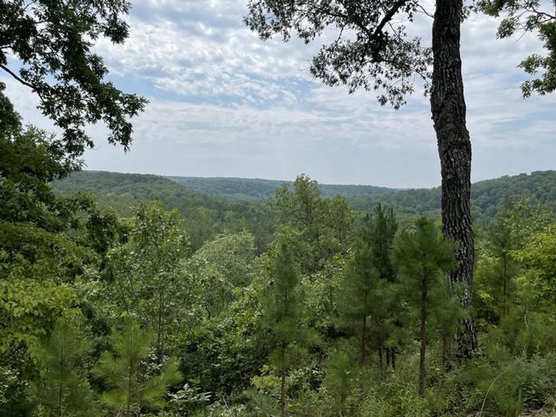Campsites with great views in the Pines Overlook Loop