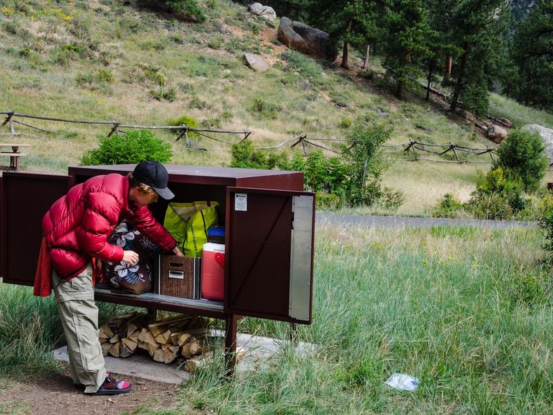 A camper is using a food storage box in Aspenglen Campground
