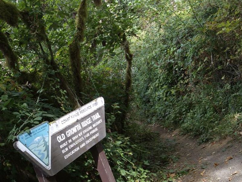 Old Growth Trailhead. 