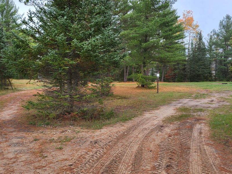  Horizontal view of the Leg Lake site 1
