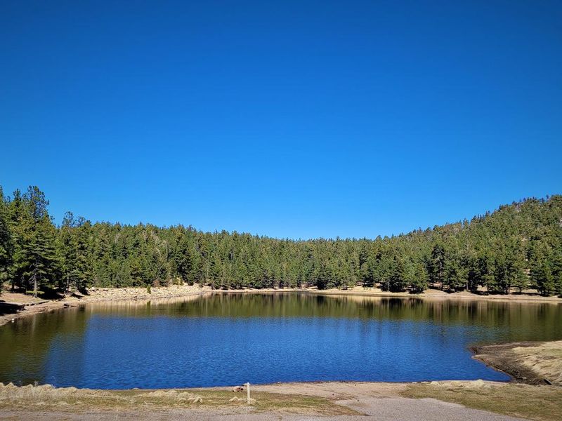 A view of Riggs Flat Lake from Riggs Lake Campground.