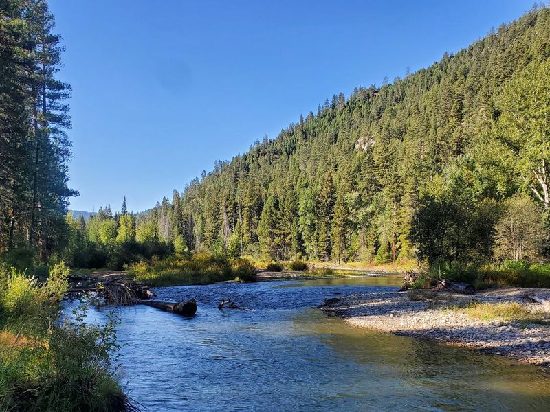 West Fork Bitterroot River at Rombo Campground