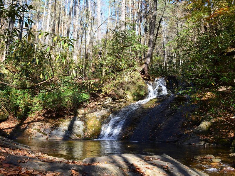 Thorps Creek Falls is a 1/4 mile hike from the back loop