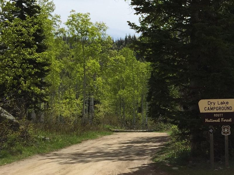 Road into Dry Lake Campground with sign and trees