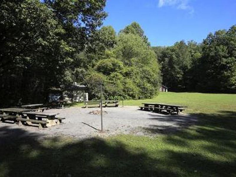 Picnic Area at Cove Creek 