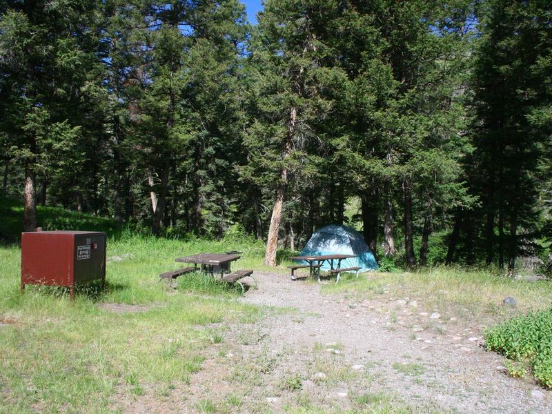 Slough Creek Campground Site #12