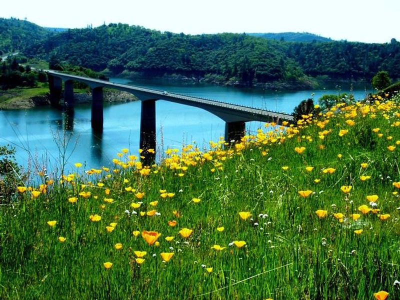 TUTTLETOWN RECREATION AREA 9