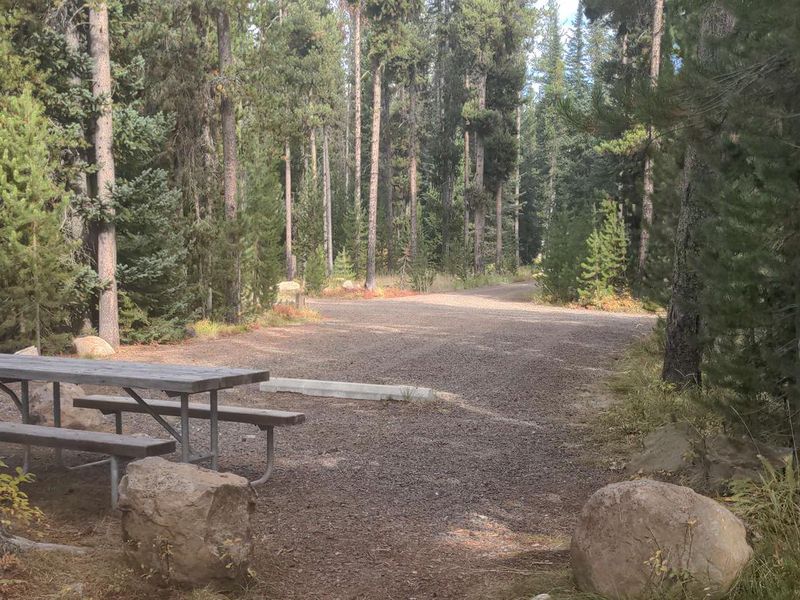 Chinook Campground Site
