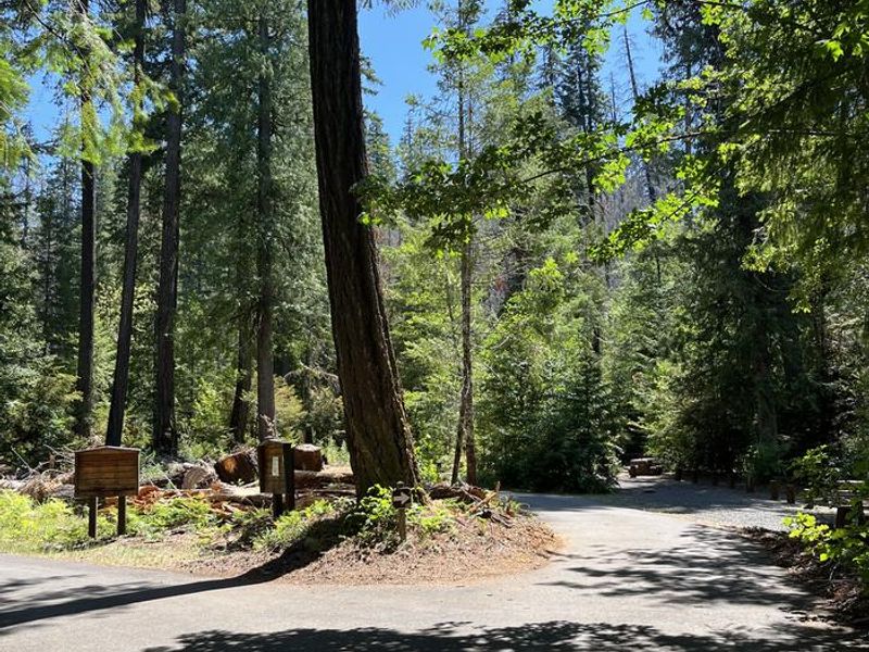 Camp sites all along loop