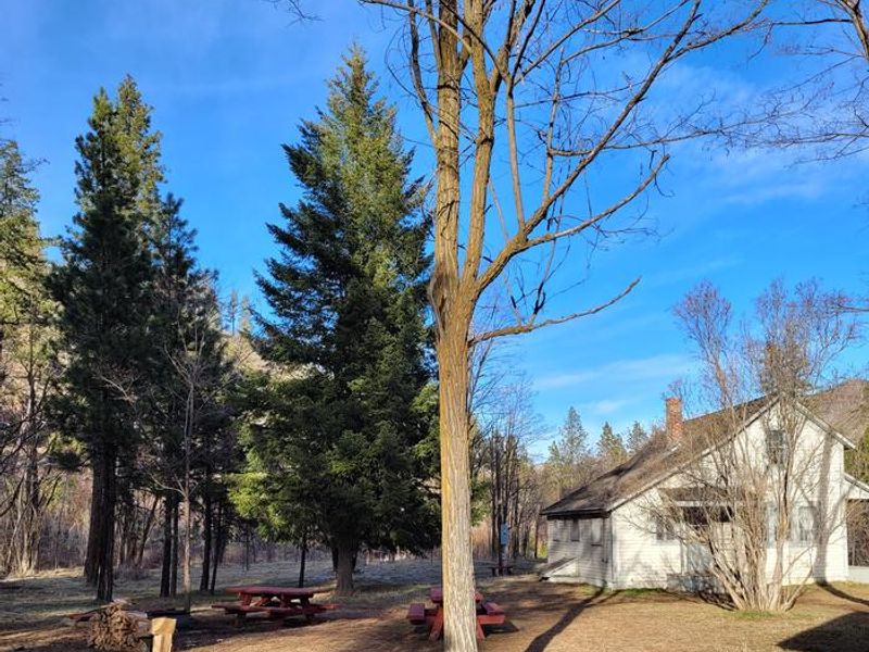View of the firepit and picnic tables