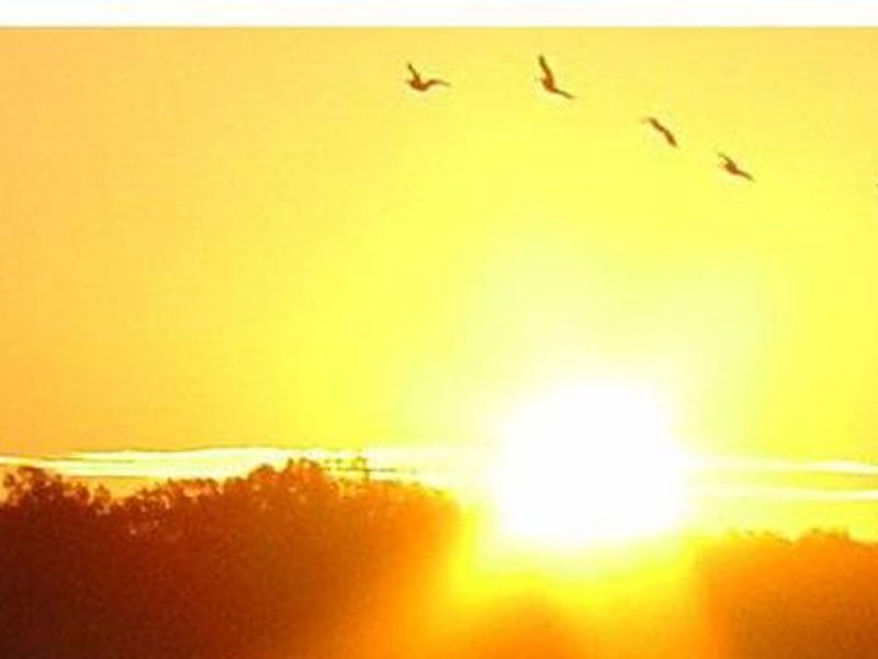 Arkabutla Lake Sunrise