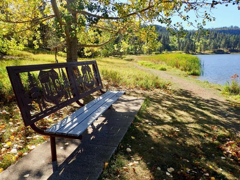 Bench Along the Cook Lake Hiking Path