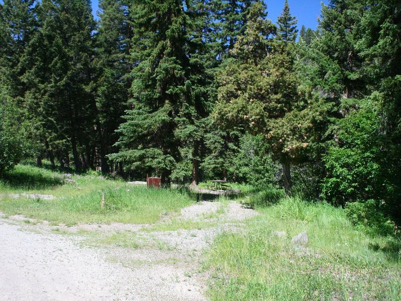 Slough Creek Campground Site #11