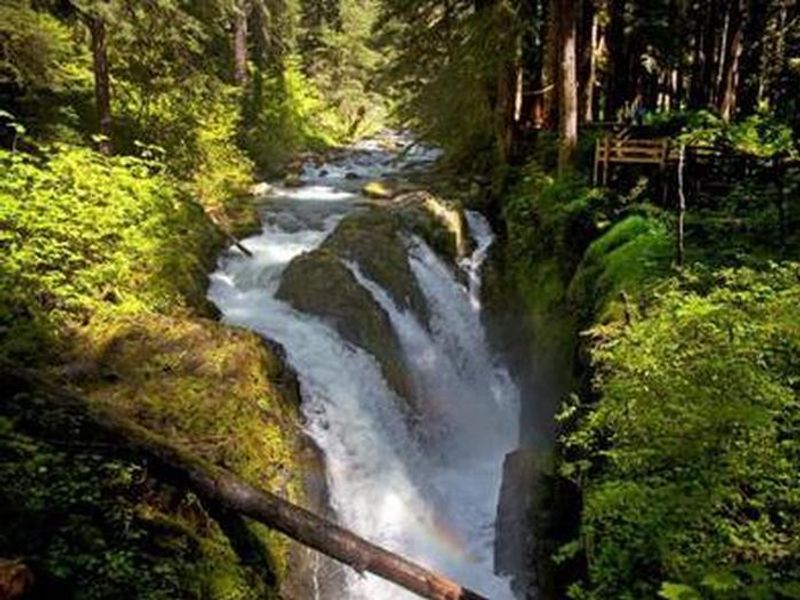 Falls near Sol Duc