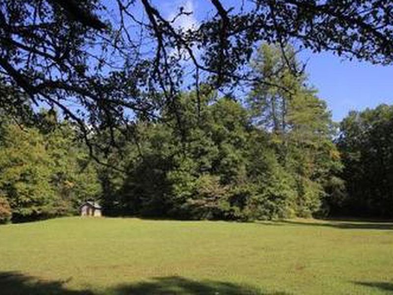Field at Upper Cove Creek 