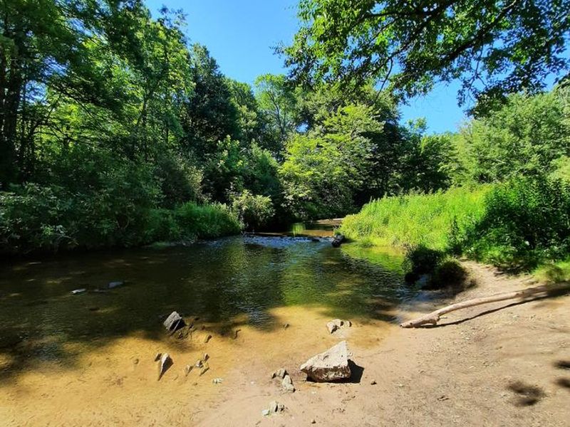 River Access Close to Johns River Road Backcountry Camping