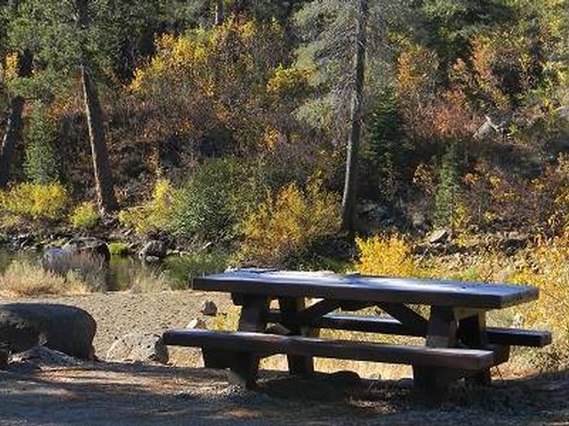 Lower Little Truckee Campsite along the Truckee River in the fall