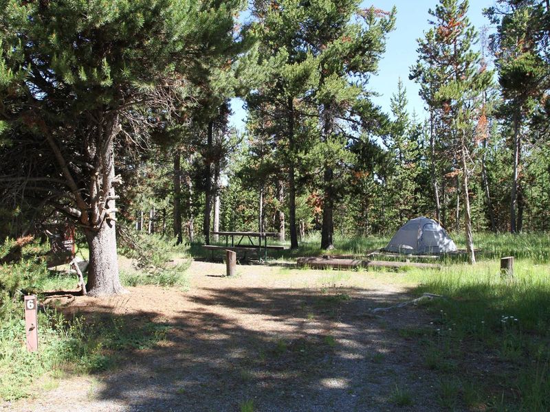 Indian Creek Campground site #6