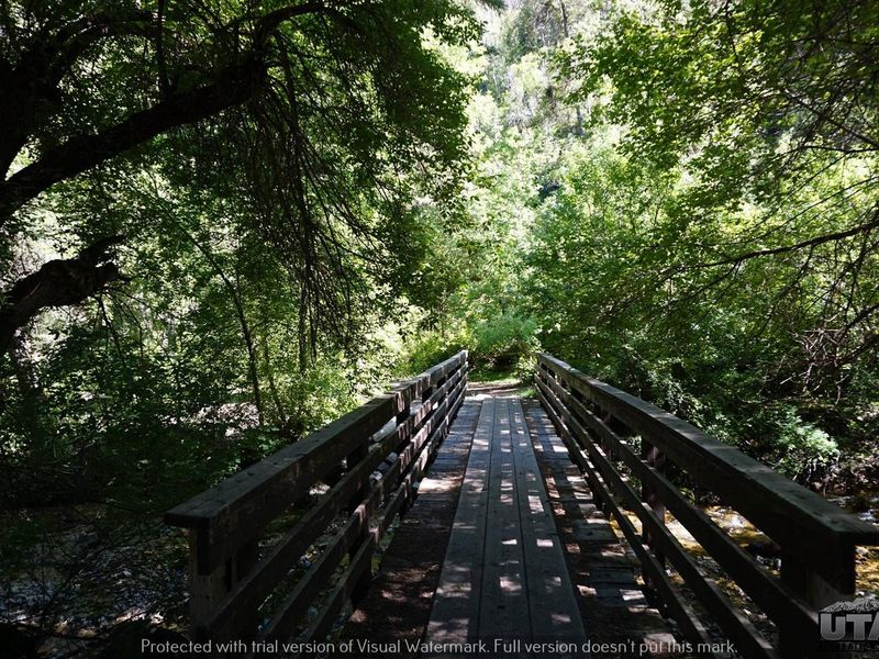 Lower Narrows Campground