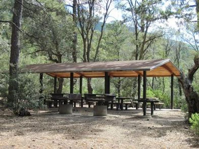 Lots of shade with trees and covered tables.