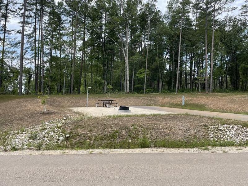 Typical Single Electric Site