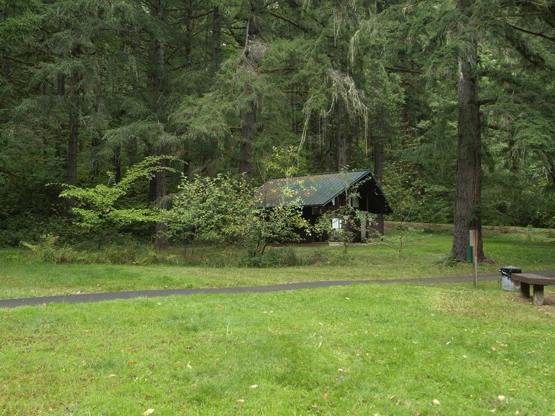 View of bathroom facilities which include flushing toilets and changing rooms. 