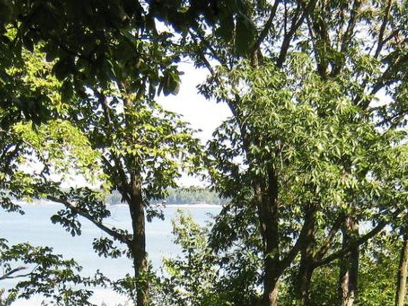 Lake View from Dam East